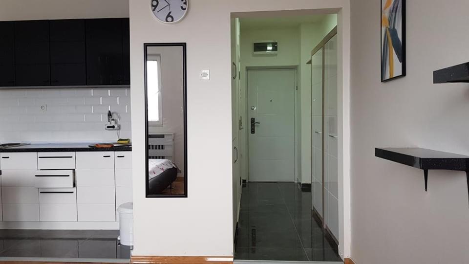 Central View Apartment 斯科普里 外观 照片