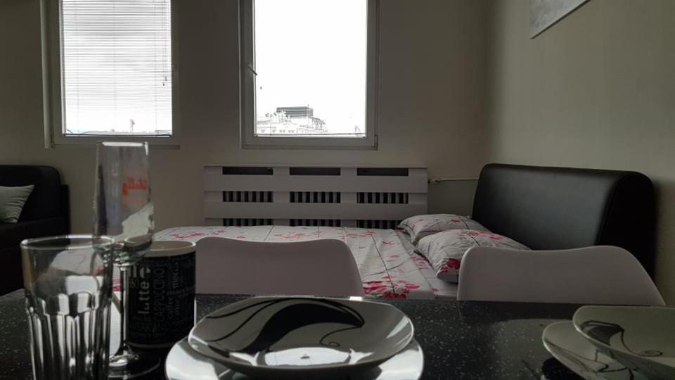 Central View Apartment 斯科普里 外观 照片